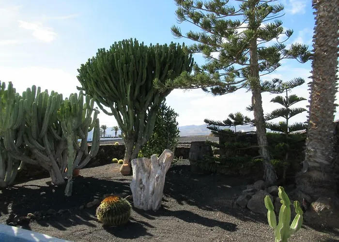 El Cercado * 티아즈